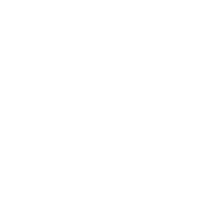 Adobe Solution Partner