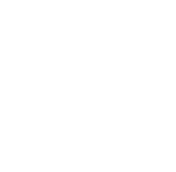 Adobe Solution Partner